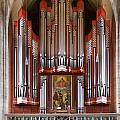 Royal red king of instruments