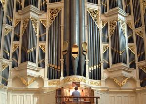 One of the largest organs in the world